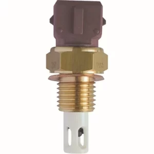 Plug Eletrônico